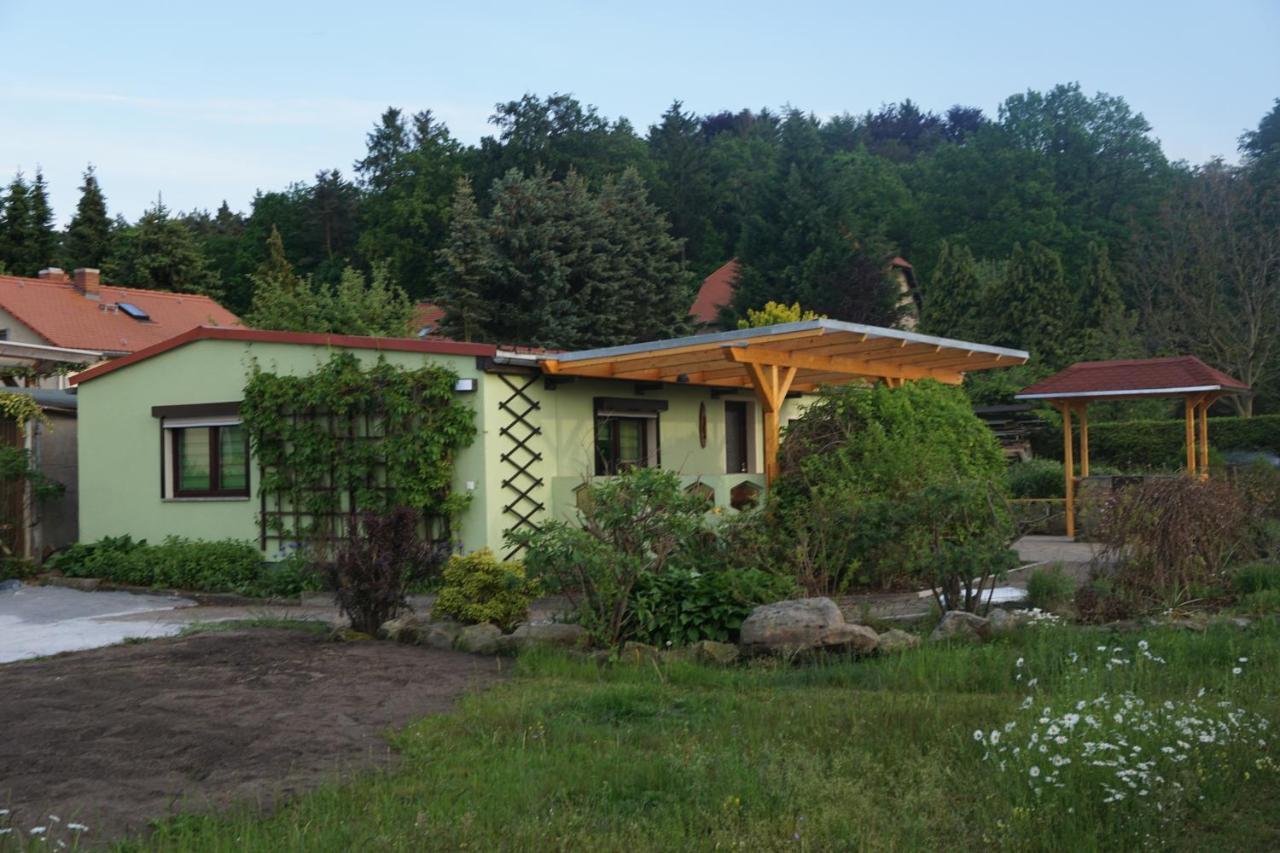 Ferienhausteube Kurort Gohrisch Exterior foto